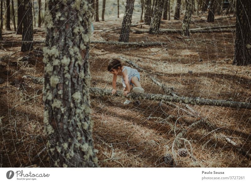 Little girl playing in the woods Child Children's game childhood Playing having fun Innocent Adventure Nature Wood into the forest Forest Happiness Summer