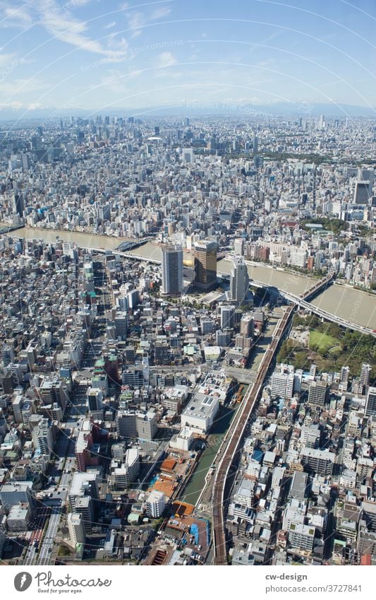 Japan Vantage point Exterior shot Landscape Vacation & Travel