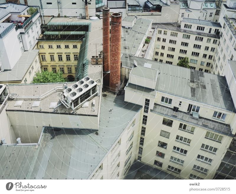downtown Vienna City Capital city Austria houses sea of houses Window outlook Panorama (View) Exterior shot Town Colour photo House (Residential Structure)