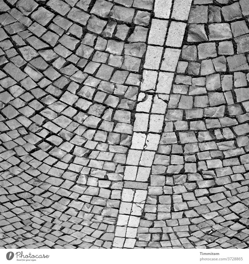 Square with cobblestones Paving stone Places Line interstices Lanes & trails Structures and shapes Deserted Stone Gray Black & white photo