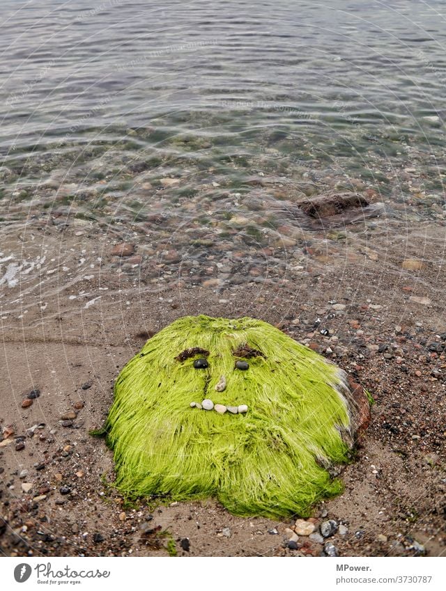 sea monster Ocean Waves Monster Algae Face Baltic Sea Water Coast green shaggy Yeti