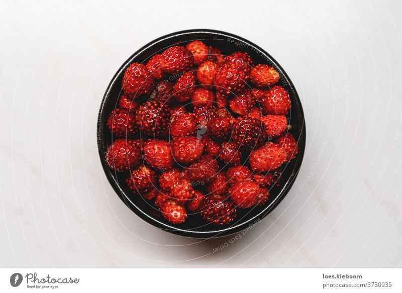 Top view of fresh ripe dark red wild strawberries in a black bowl on a white background strawberry fruit sweet top view healthy summer dessert delicious organic