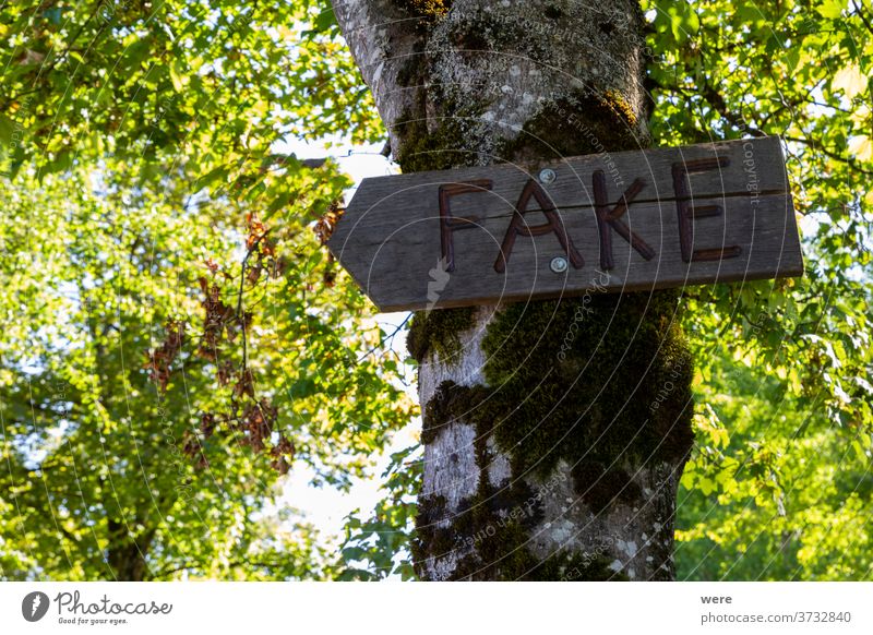 Rustic wooden arrow with the inscription Fake on a birch trunk birch leaves bokeh copy space deception funny historic nature nobody note old rustic summerly