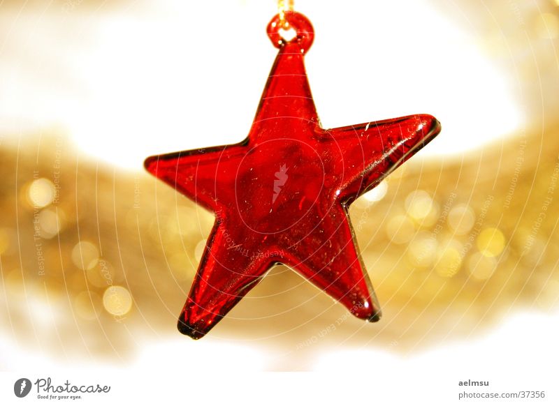 Star of glass II Red Transparent Jewellery Festive Checkmark Decoration Star (Symbol) Glass Gold Feasts & Celebrations Christmas & Advent