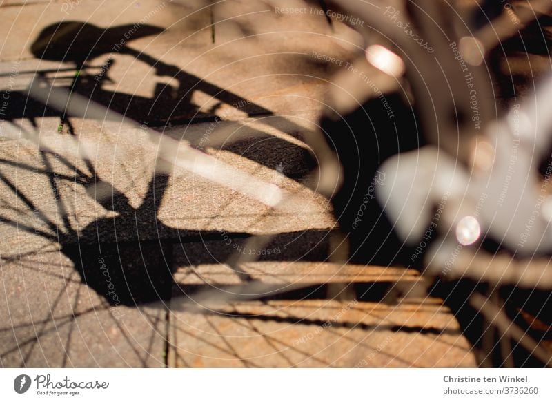 Bicycle. Silhouette. Shadow. Sunlight. Detail Saddle Tire Spokes Glittering Wheel Means of transport Close-up Light Metal Shallow depth of field Black Cycling