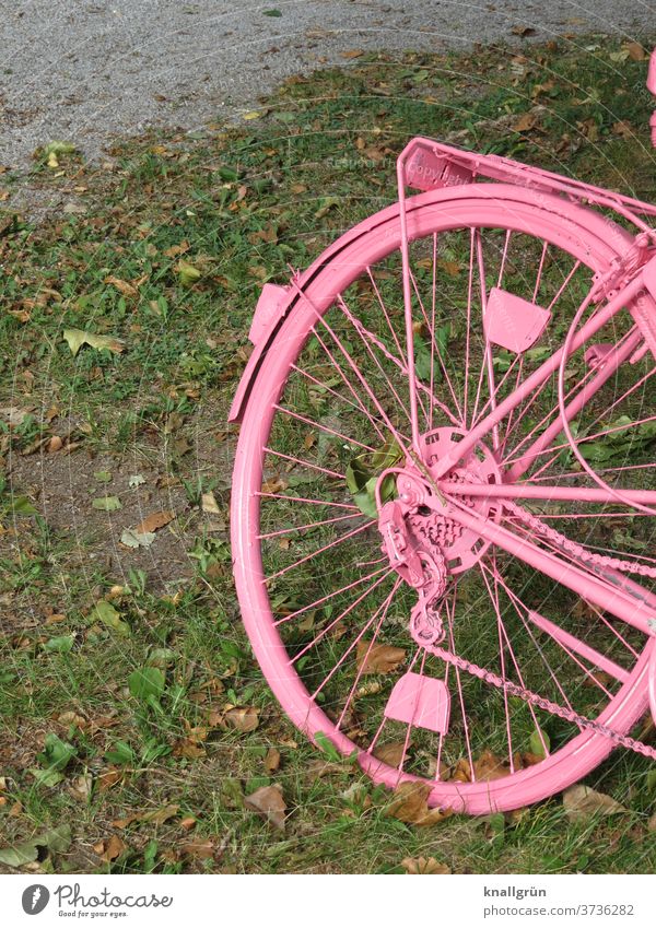 Pink bikes Bicycle Creativity Means of transport Cycling Mobility Exterior shot Day rear tyre Spokes pink Painted Leisure and hobbies obliquely Detail
