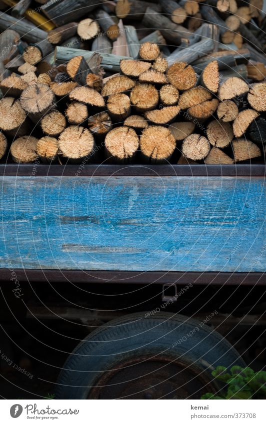 Wood on wood Trailer Carriage Tire Firewood Many Blue stacked Stack Stack of wood Colour photo Subdued colour Exterior shot Close-up Deserted Day