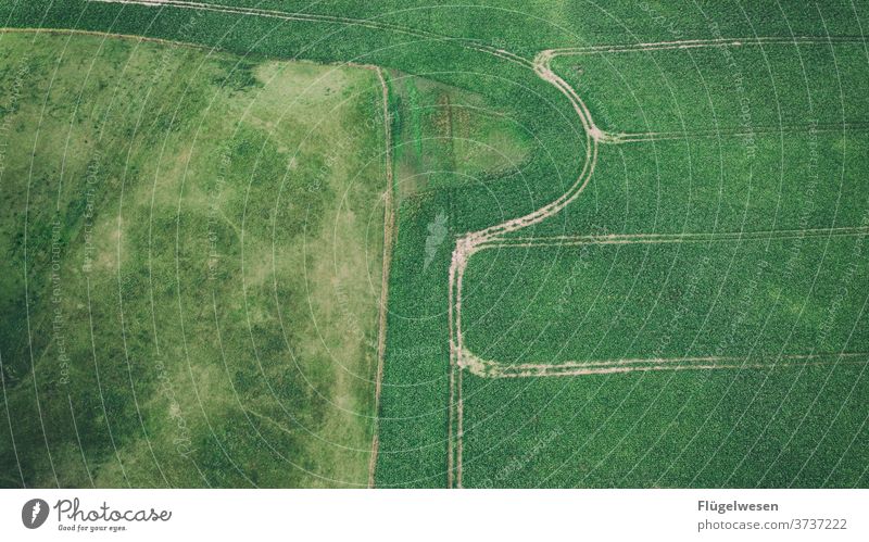 Many ways aerial photograph drones UAV view Field Harvest Meadow Lawn Lanes & trails cross green Bird's-eye view curvaceous