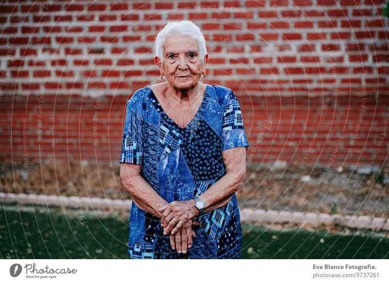 portrait of old lady in her 80s relaxed looking into camera happy smiling joy woman elderly home white hair grey hair mental solitude thoughtful grandmother