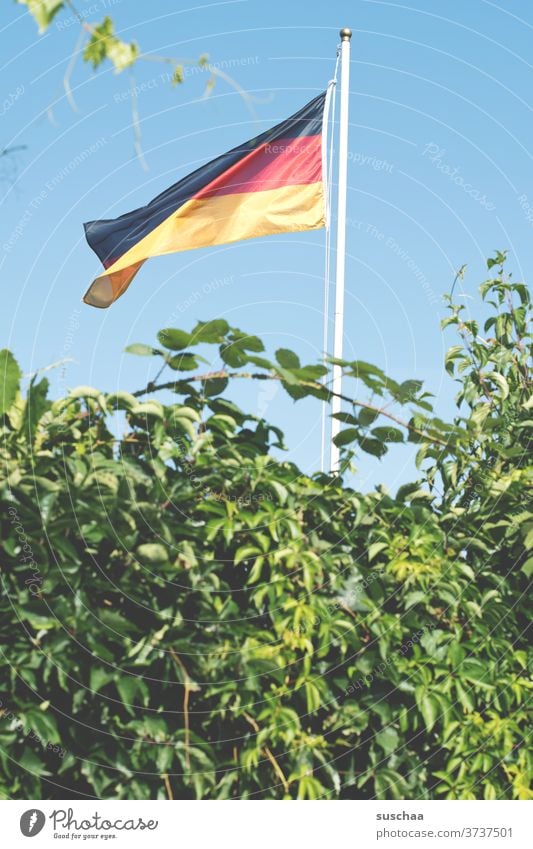 germany flag in a shear garden German flag Flag German Flag Flagpole Germany Patriotism Wind Ensign black-red-gold Garden Garden plot shrubby Nationality Sign