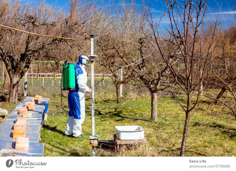 Gardener wearing protective overall sprinkles fruit trees with long sprayer, apiary is in the orchard Aerosol Agricultural Agriculture Apiary Beehive Beekeeping