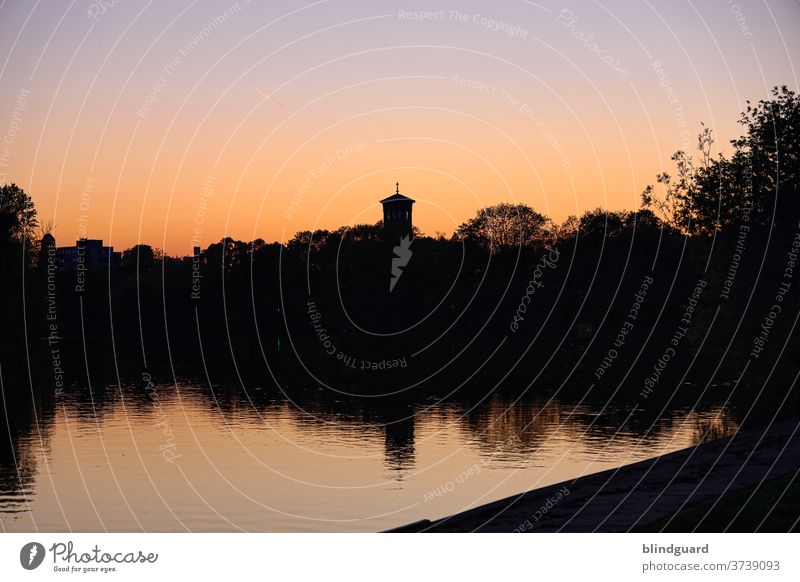 evening mood at the main Evening Sunset Water Nature flora Twilight River Kurche Deserted Silhouette Idyll wharf bank Dark Black Red Orange Sky Colour photo