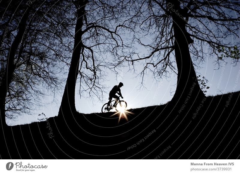 A man biking in the sunset on the top of a hill in the forest. Dark, naked trees and evening blue sky. hobby woods nature winter lifestyle living adventure