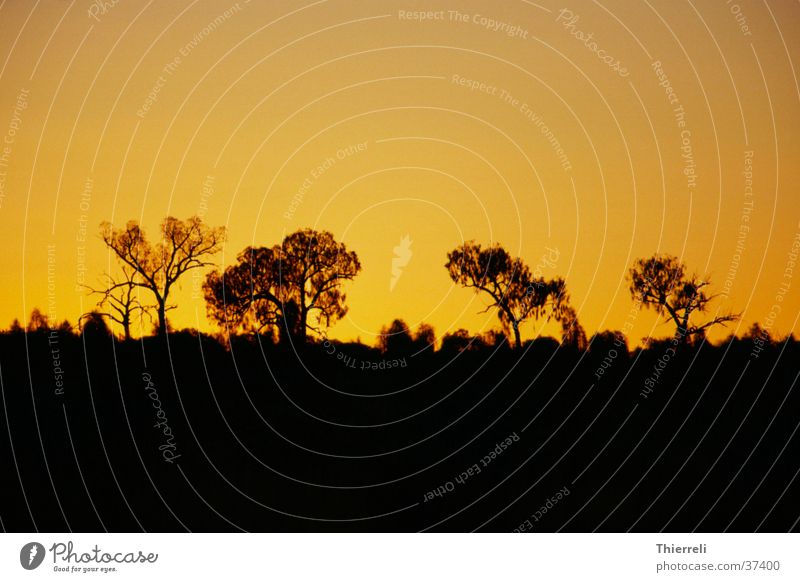 On the opposite of the Ayersrock (Uluru) Sunset Australia Physics Evening Idyll Warmth