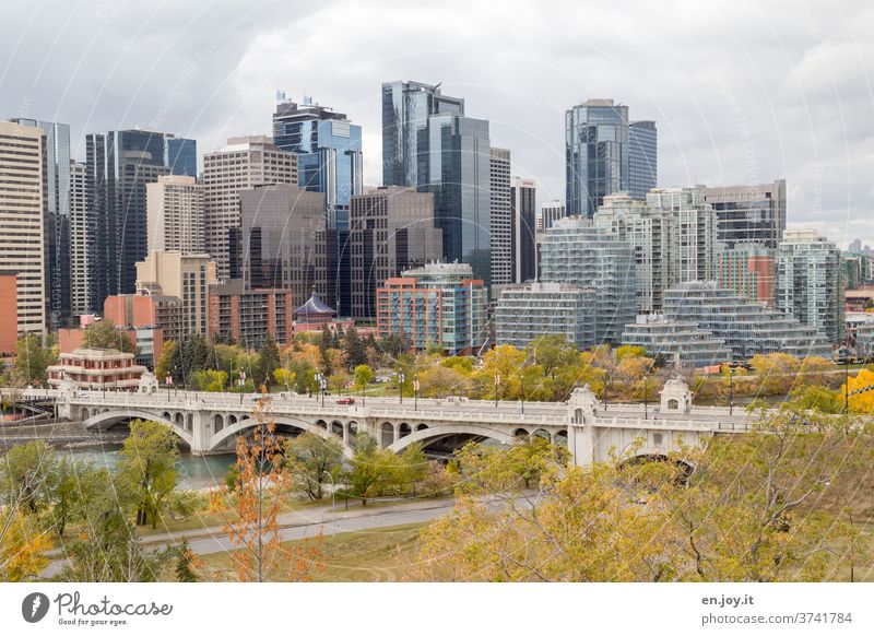 Architecture and nature |Skyline of Calgary in autumn with bridge over the Bow River Autumn high-rise skyscrapers Town City Sightseeing Canada Alberta built