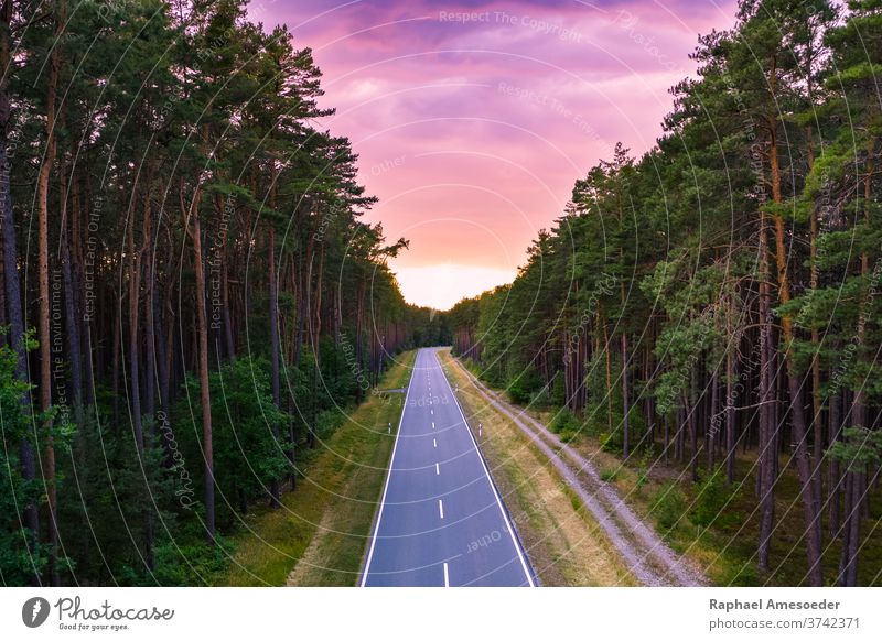 Road through forest under purple sunset sky road vanishing point track nature evening aerial beautiful beauty clouds countryside curve dusk environment foliage