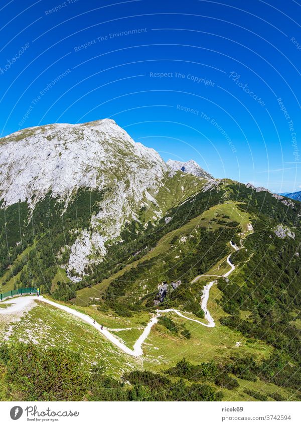 View from the mountain Jenner to the landscape of the Berchtesgadener Land Alps Berchtesgaden Country Bavaria tree Forest off hiking trail Landscape Nature