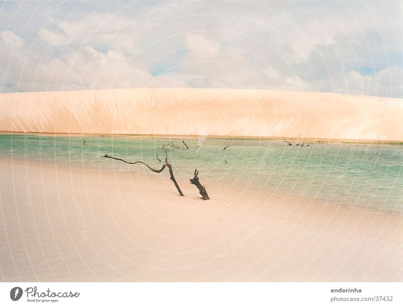 moon dune Sheet Brazil Lagoon Clouds Light Vacation & Travel Beach dune Water Branch Sand Desert Loneliness