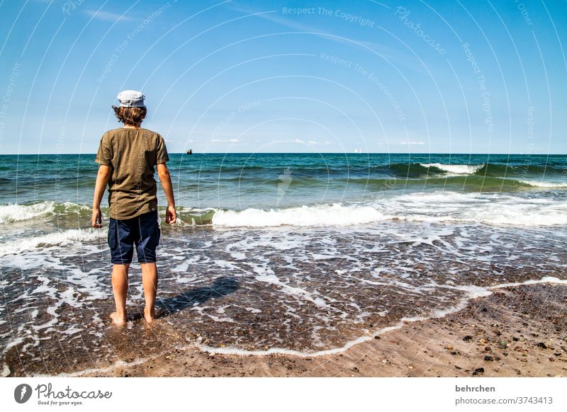 wanderlust on one's own Loneliness Infancy Son Child Boy (child) Relaxation Germany Summer Mecklenburg-Western Pomerania Baltic coast Nature wide Freedom