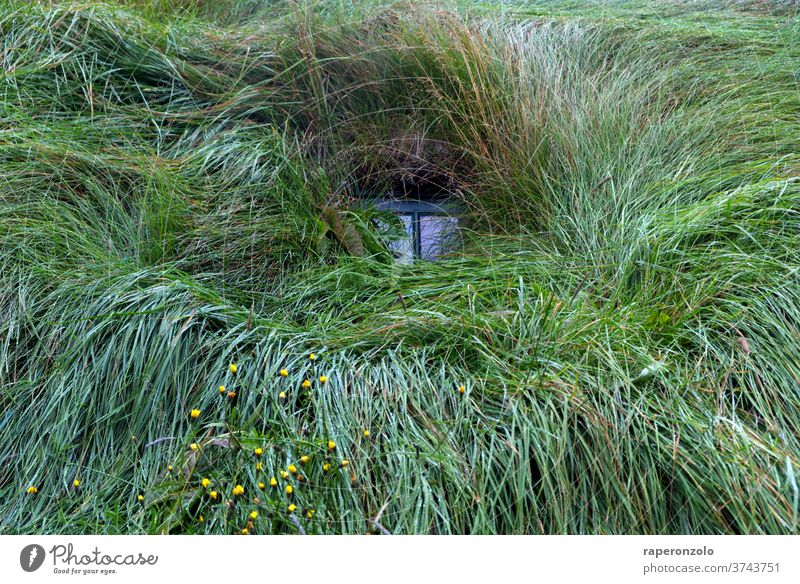 Window in a grass sod house in Iceland Small Grass Green House (Residential Structure) overgrown Turf habitation Alternative Organic Sustainability