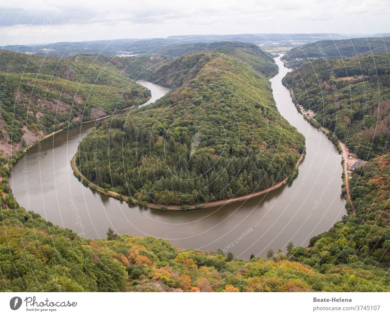 Saar loop in late summer Saarland Forest panorama panoramic view River course unusual Turnaround Natural phenomenon Experiencing nature wooded wooded hill hilly