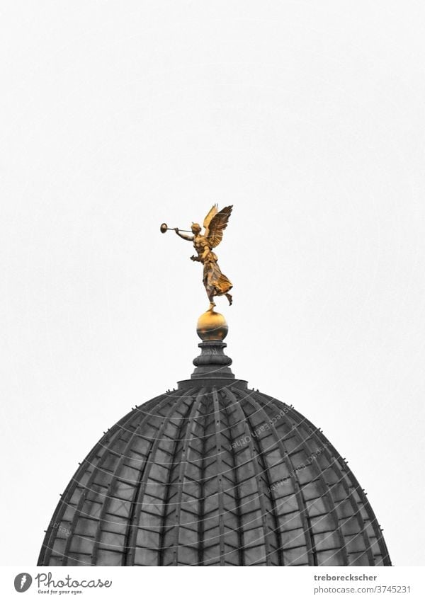 Golden Sculpture Fama or Pheme on the dome of the Saxon art collection in Dresden fama cutout blackwhite colored gold golden pheme copyspace dresden germany