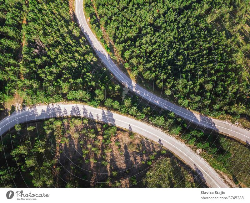 Aerial View Of Mountain Roads Between Pine Forest In Late Summer above aerial asphalt background botany branch colorful country earth eco ecology environment