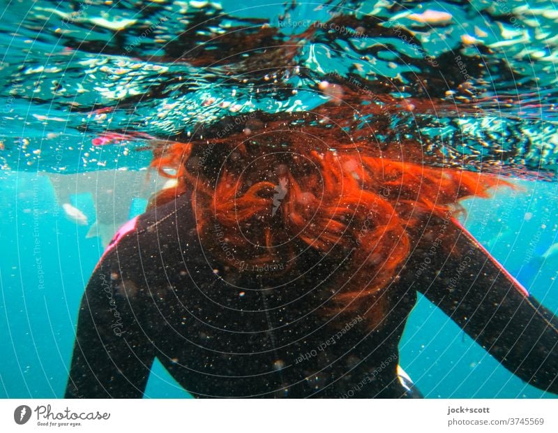 with red hair in blue water Swimming & Bathing diving suit Surface of water Pacific Ocean Underwater photo Ruffled Long-haired Red-haired Wetsuit