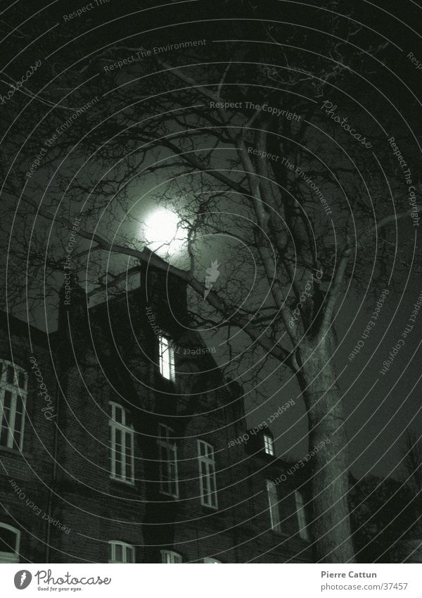 haunted house Eerie Black Dark Tree Night Architecture Moon