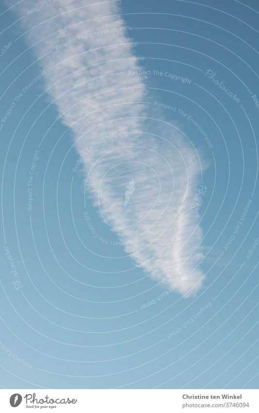 dynamic | The shape of the cloud resembled a feather... Clouds Spring Cloud White Blue Dynamic Sky good weather Summer Nature Beautiful weather Weather