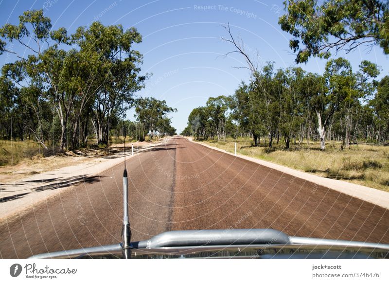 straight on through Australia without end Street Traffic infrastructure Landscape Nature Right ahead Tree Far-off places Driving car aerial Bullbar