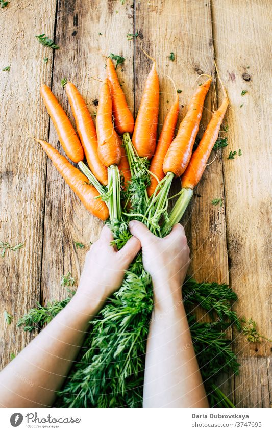 Fresh carrots with green leaves fresh healthy background nutrition food raw ingredient organic diet vegetarian vegetable bunch closeup orange top view
