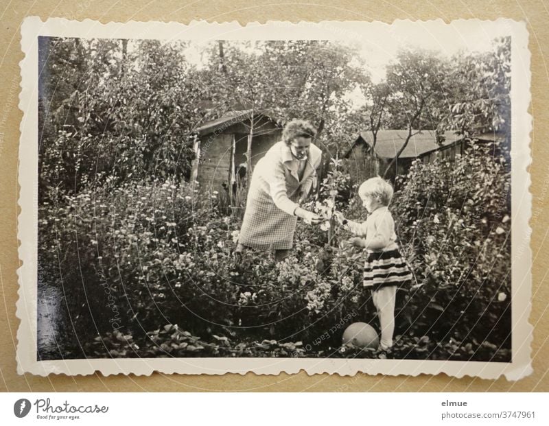 Memories of the 1960s - a black and white photo print with a deckle edge lies on beige paper and shows a little girl with her mother in a flower garden with an arbour