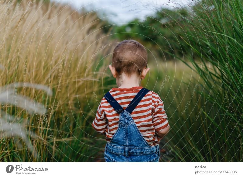 Toddler runs through grass grasses Overalls Colour photo 1 - 3 years Infancy Exterior shot explorers Playing Human being Child Boy (child) Life portrait Nature