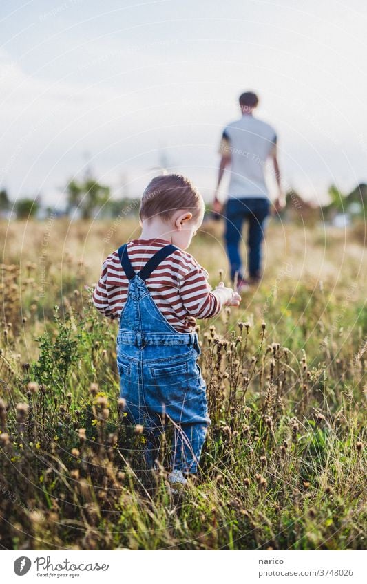 Little boy walking across meadow, father in the background Toddler Boy (child) Child Exterior shot Infancy Colour photo 1 - 3 years Nature Overalls Life