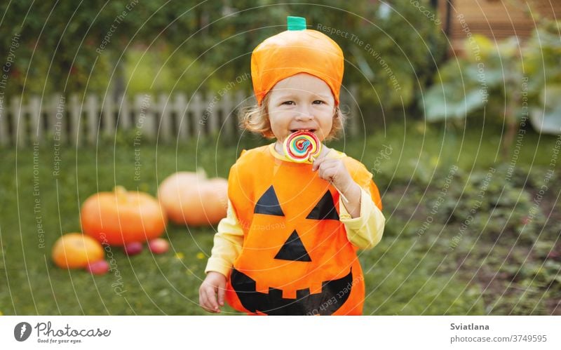 Cute girl in a pumpkin costume has a colorful Lollipop on a stick. The Concept Of Halloween. Holiday, gift, postcard. Space for text halloween autumn playing