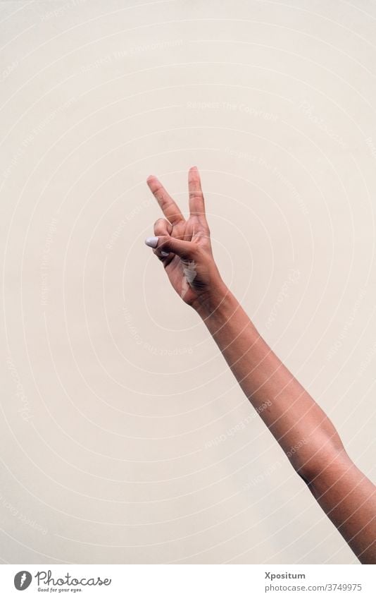 Closeup V Sign fingers white background faceless anonymous arm copyspace v sign hand gesture person one symbol closeup show girl modern expression isolated