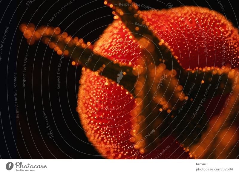 Tomato in jar with air pearls Red Nutrition Water Drops of water Macro (Extreme close-up)