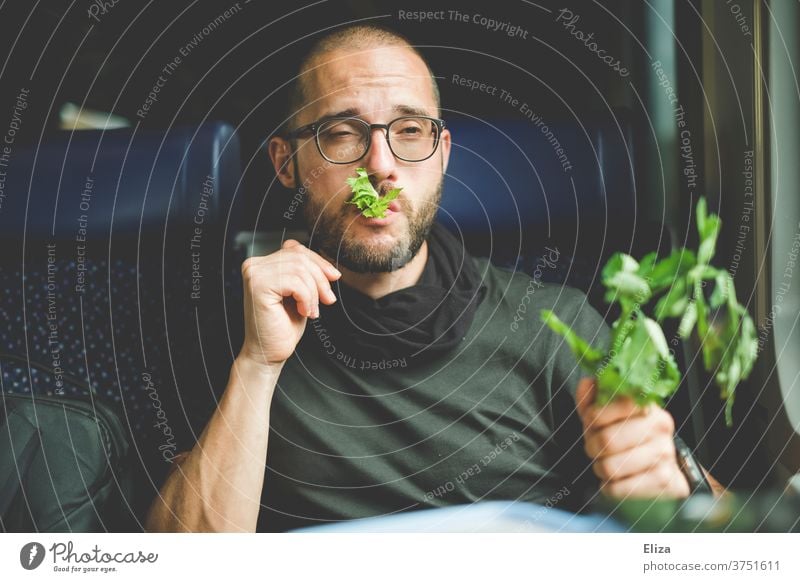 A man eats his celery with relish on the train. He likes greenery and healthy food. Healthy Eating Celery celery stalks green stuff Vegan diet Vegetarian diet