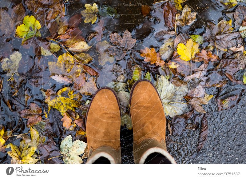Brown boots stand in puddle with colourful autumn leaves Autumn foliage Puddle Boots Footwear Nature Water Rain variegated Autumn leaves autumn mood Autumnal