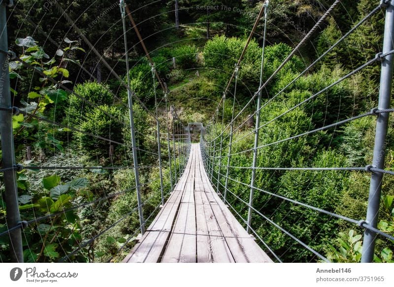 wooden suspension bridge in the forest beautiful mountain landscape green nature travel tree park outdoor summer walk way path view water adventure tourism rope