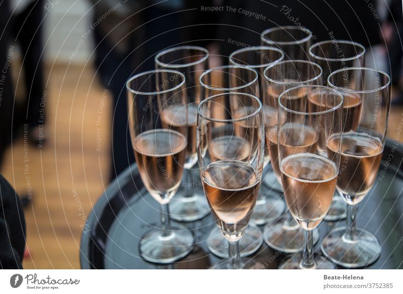 Cheers: Tray full of half-filled glasses with rosé champagne Company meetings Toast Sparkling wine bar Invitation Chilled Glass Alcoholic drinks Beverage