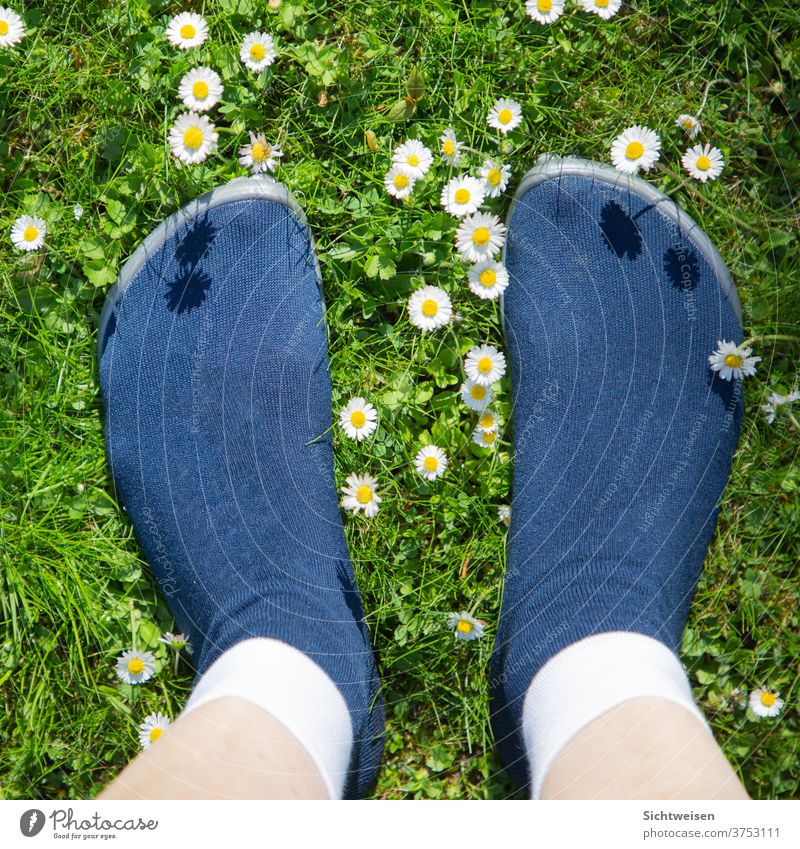 walking barefoot - everywhere Nature Exterior shot Colour photo flowers feet in the sun