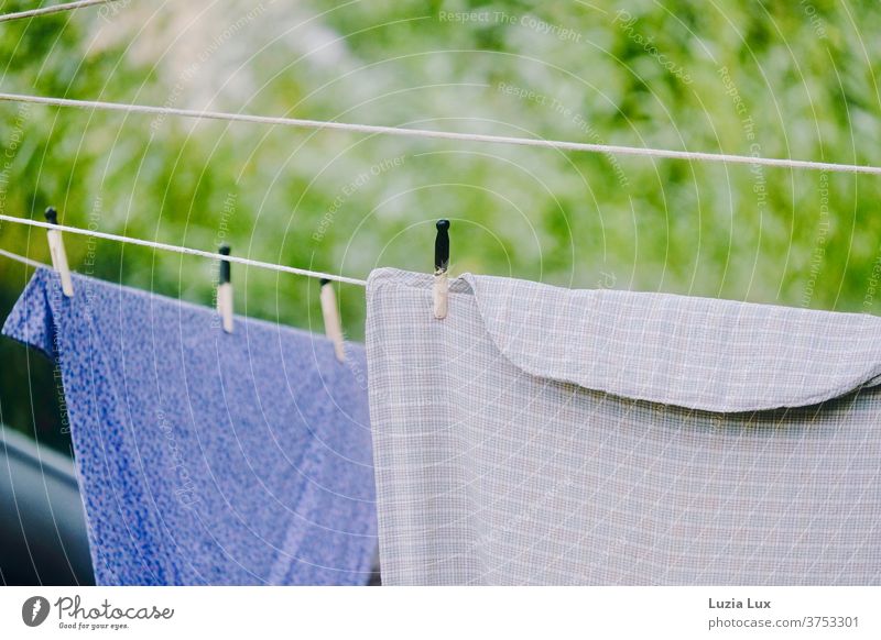 Old-fashioned laundry on the line, in front of light green and in the sunshine Laundry Clothesline Clothes peg Summer Sunlight Dry Washing Exterior shot hang