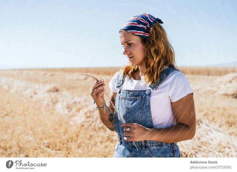 Calm woman standing in wheat field spikelet agriculture relax enjoy season golden sunlight female village countryside rural nature harvest rustic natural