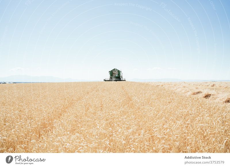Agricultural machine in filed in summer harvest combine collect field wheat countryside machinery farm agriculture season rural nature meadow farmland