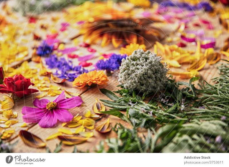 Colorful flowers on wooden table floral composition bud petal arrangement delicate blossom plant color assorted fresh natural bright romantic bloom design