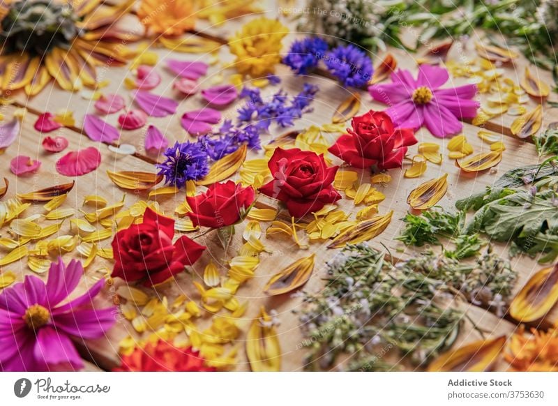 Various Flowers Arranged On Table A Royalty Free Stock Photo From Photocase