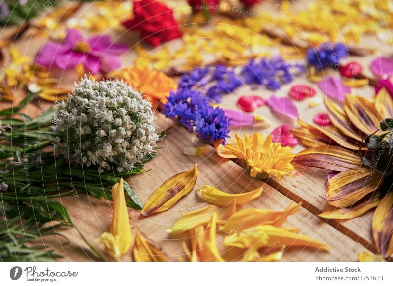 Biodegradable confetti from real dried flowers - a Royalty Free Stock Photo  from Photocase