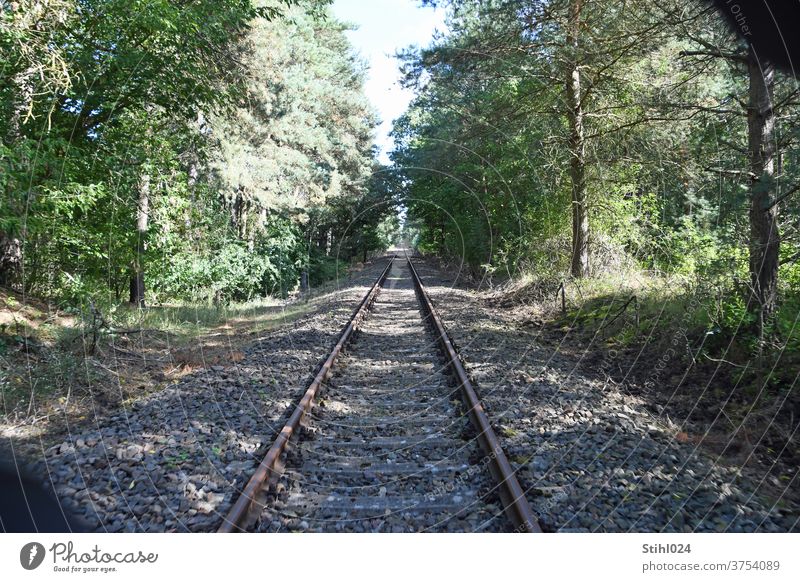 Closed railway line in the Uckermark Track rails Right ahead Forwards Forest dead straight ballast bed gravel railway embankment huts railway tracks overgrown